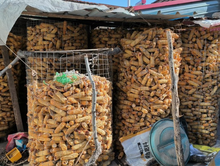 ���ظ��ؼt�����S�o�Zʳ��ȫ