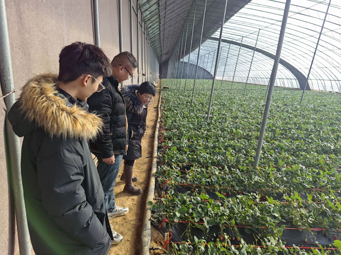 �ഺ�x�������`���d