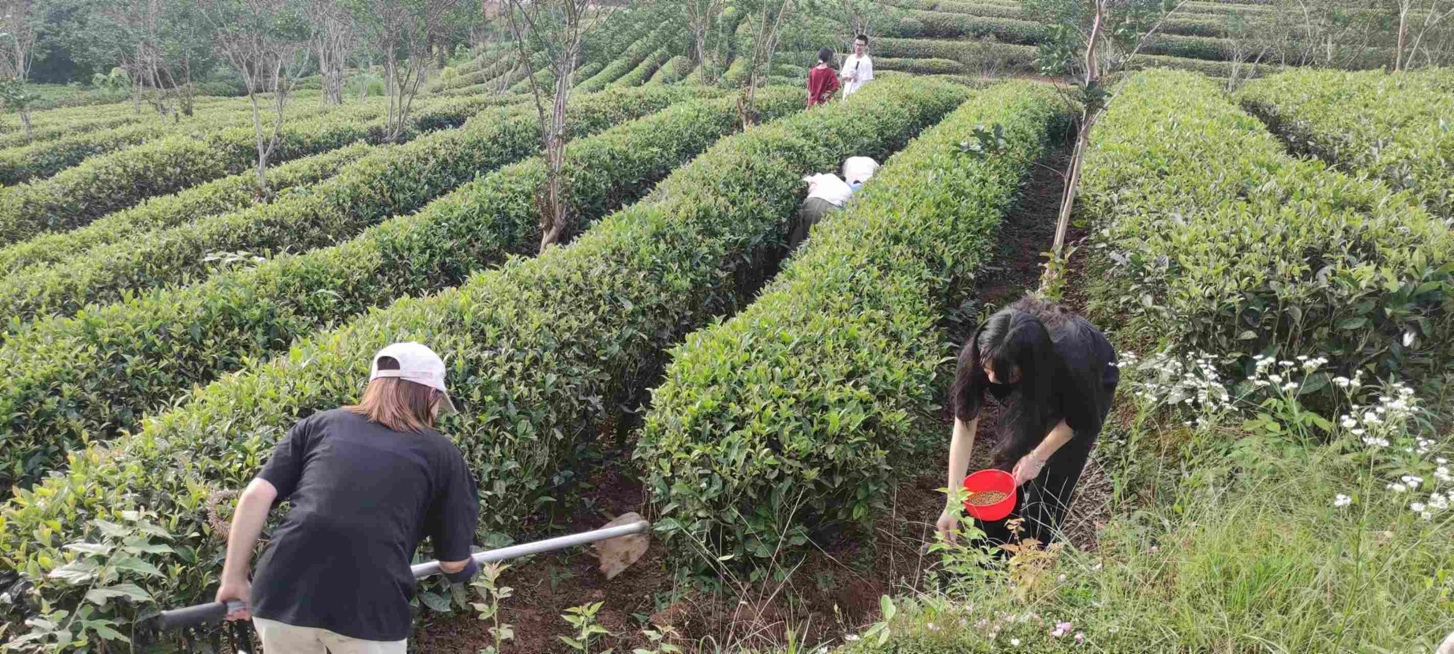 �G�ⰻȻ����Ժ�W��̽�����B�r�I��ģʽ