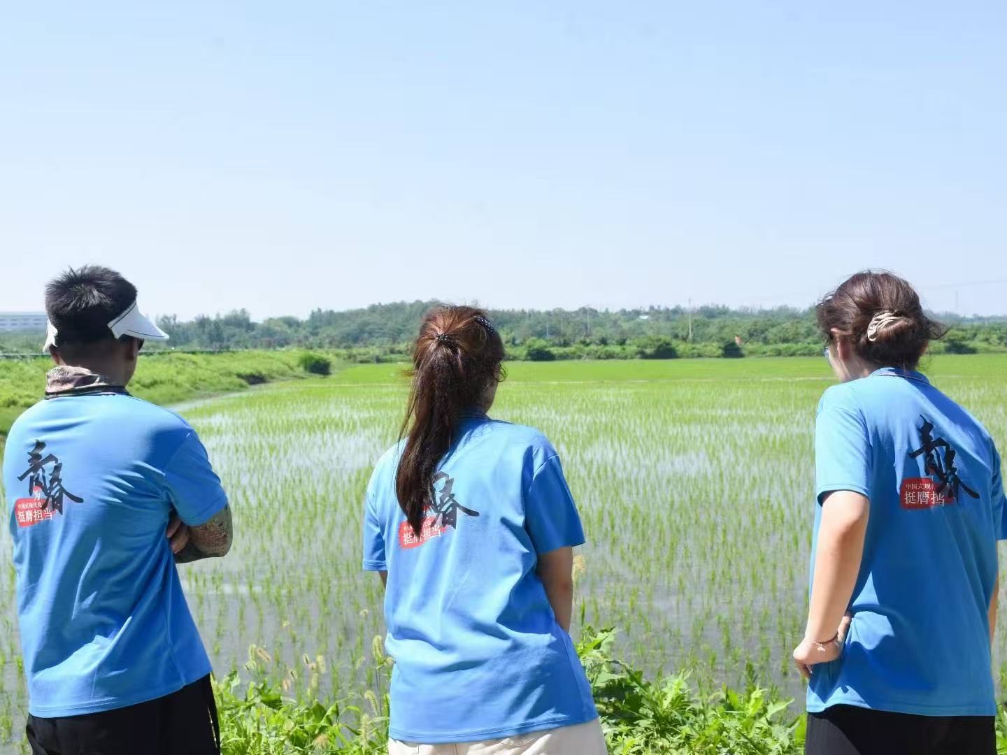 �����WԺ���̹���WԺ�h������悽����Ļ��Ӱlչ�B���{�ЈF������朄ӳ��������Ј���_չ�l��