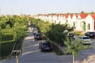 ���������l(xi��ng)������ˣ��m���������O(sh��)Ӌ�x���l(xi��ng)�����d