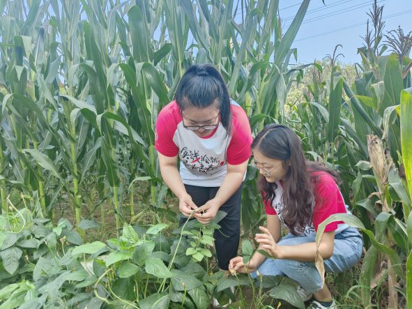 ��(sh��)���{(di��o)�����l(f��)չ