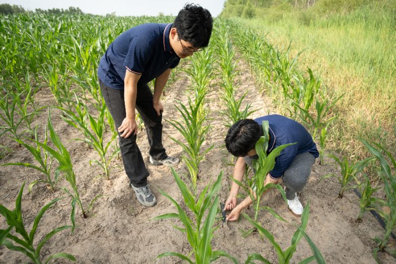 ���B���d 1 ����܎�z