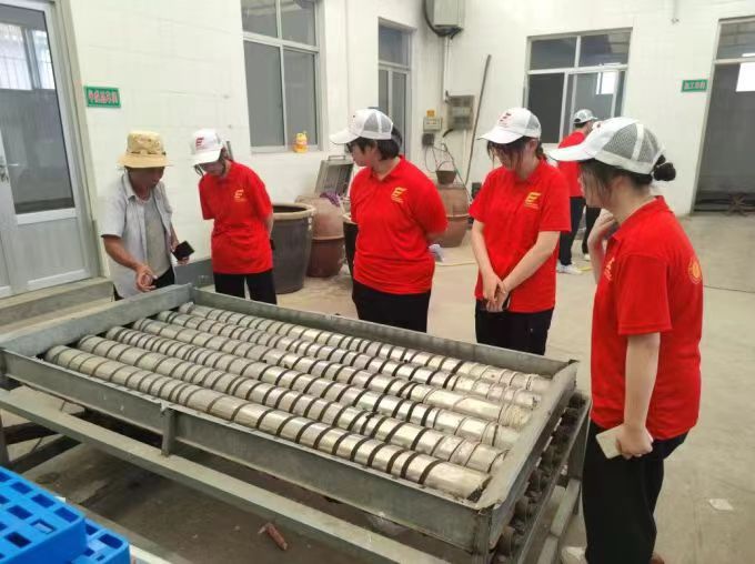 ��Ԓ���z�� ���M���z���� �x���l�����d