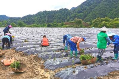 �M��÷:�Sɽ�������펽������