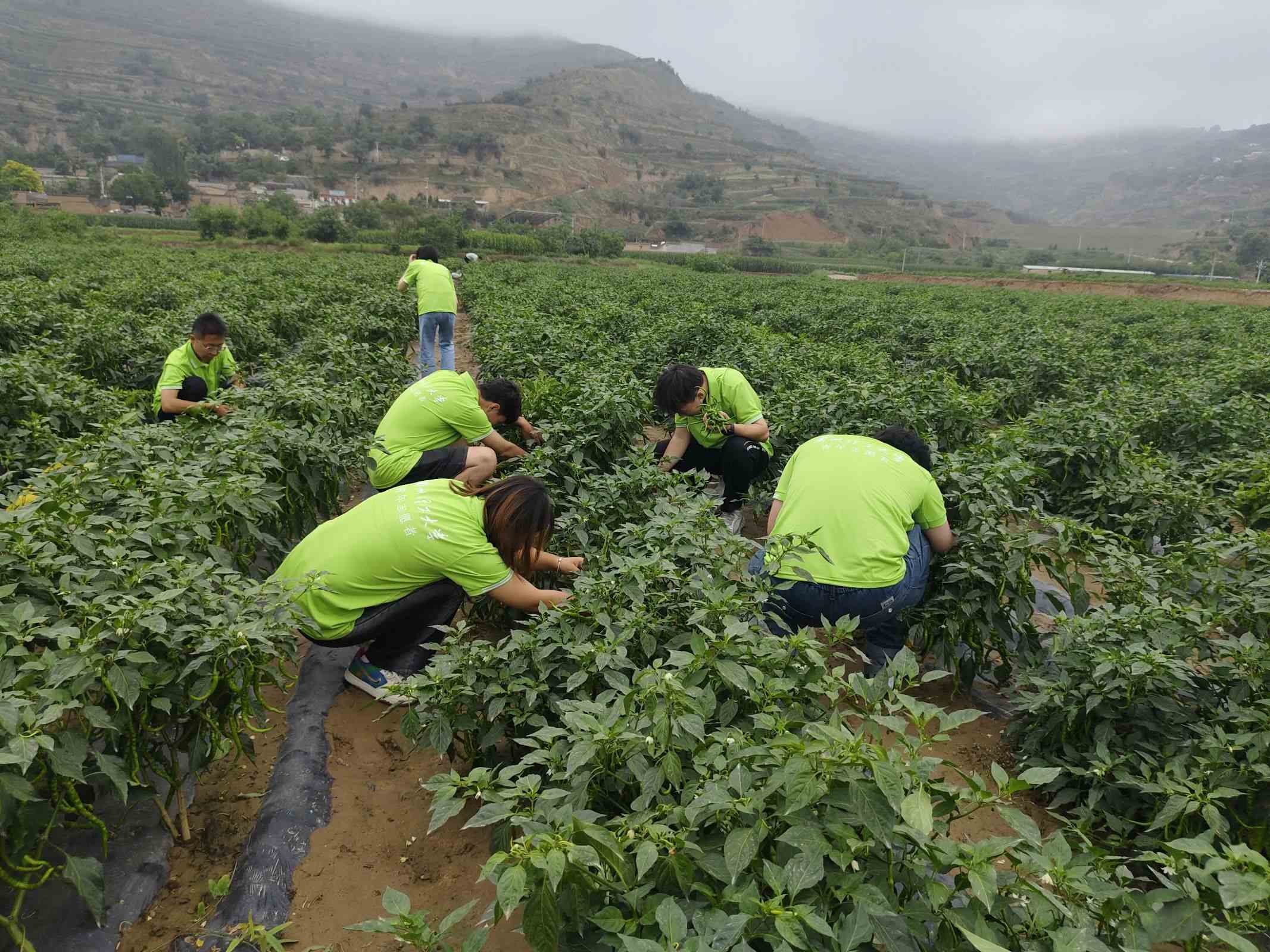 �D4-���`�F����M�����Nֲ���ز��������ز�ժ����