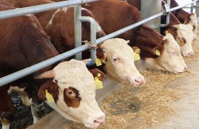 ̽����ţ�a�I֮�ã��Ľն�����������������