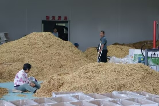 �Ϸʹ��I��W�x��Ժ����ͬ�S���˻��ء����׃���С�S�������顱���ڌ��`���