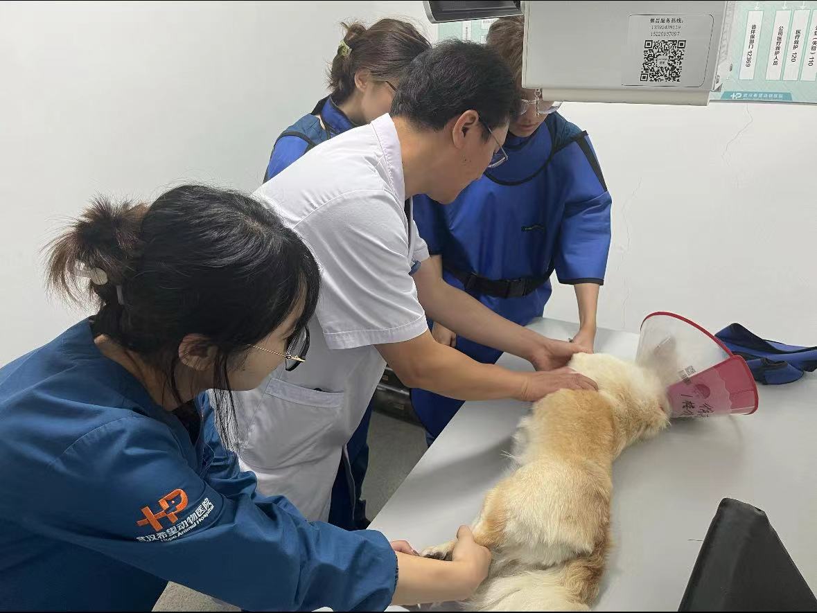 �d�ӻ��_���Ҍ����������E