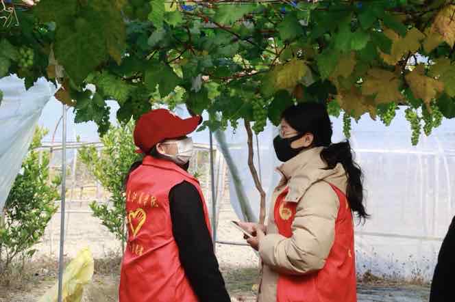 �����R�l(f��)�����L���}���l(xi��ng)�����d��ʮ���