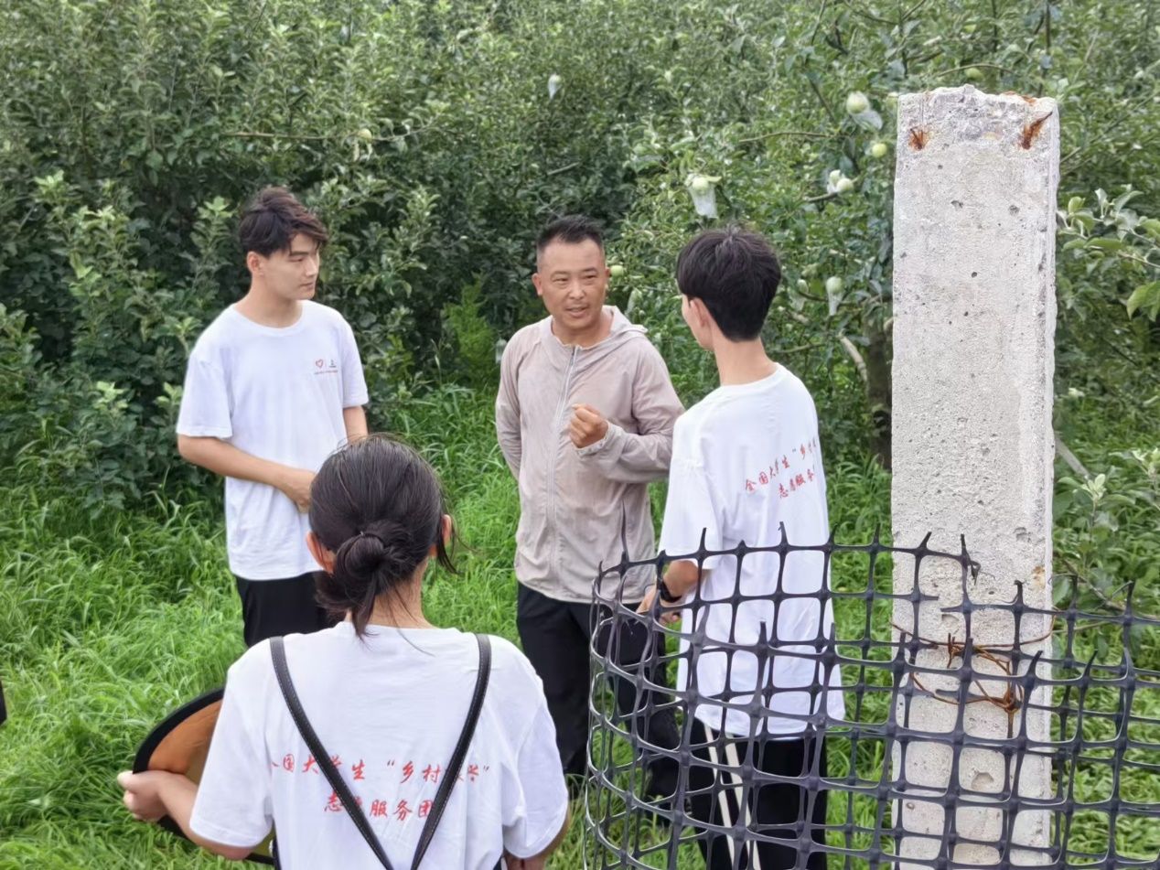 ���ݹ��̌WԺ�W���ھ��l���������������l�����d��