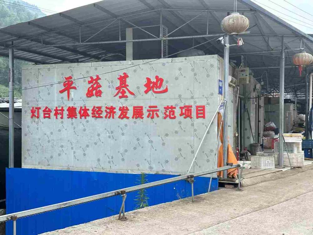 ���_�ډ��飬�l�干���d