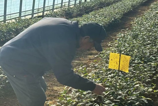 ̽������һ�~��Ķ������L�ǻ�