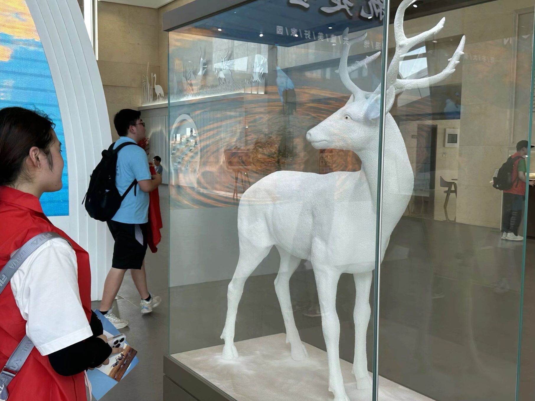 ǧ�l�f��|�Ӻ���W���Kʡ�}�����S����ر��o�{�п���С��꠸��}�ǵ���Q������B���΅^�_չ���`���