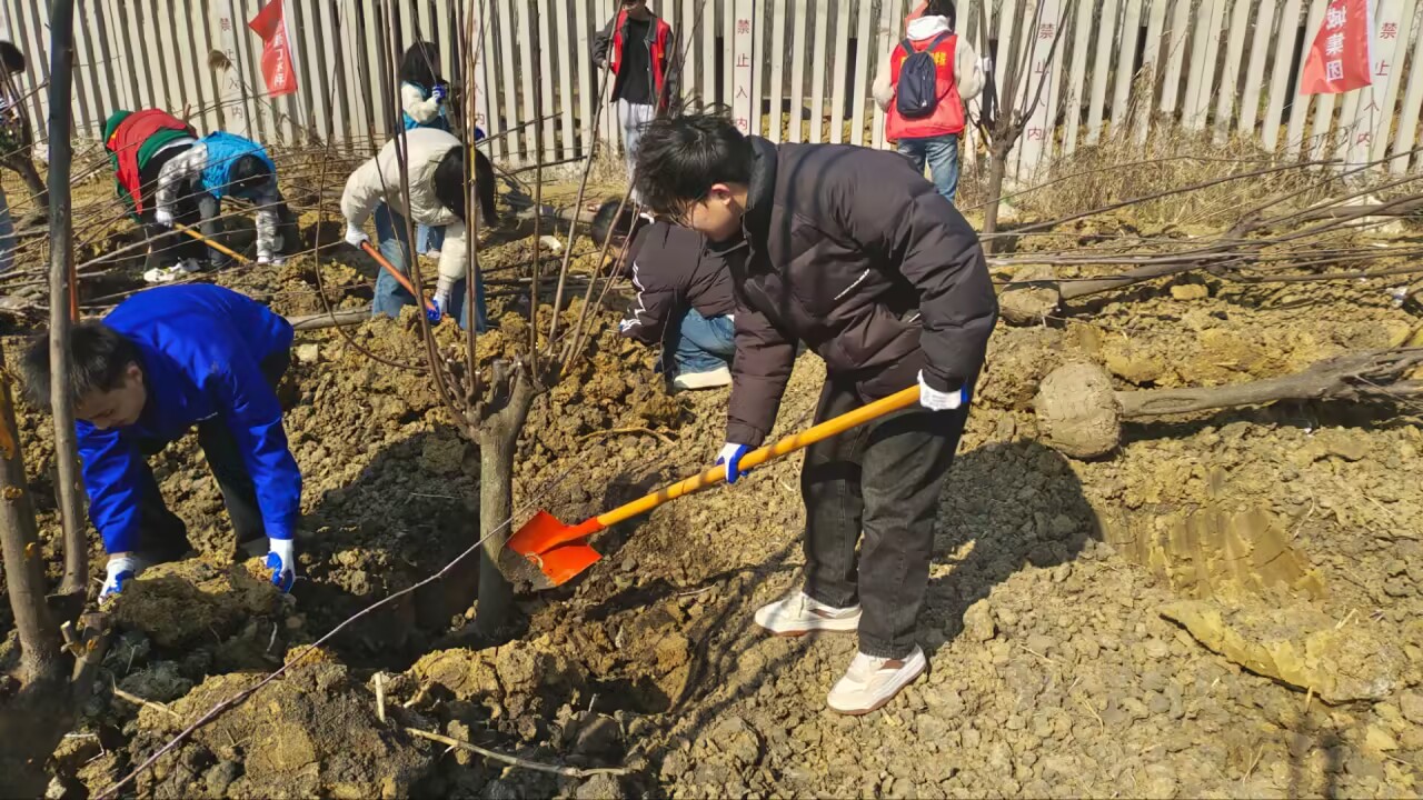 ֲ�G��վ���������B�� �������tˎ��W־Ը�߅��c���h��ֲ�九���