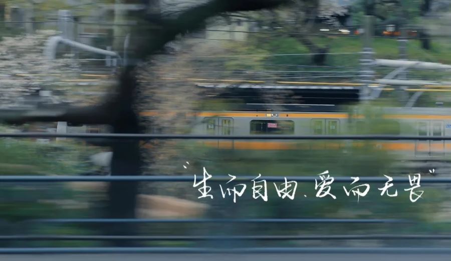 �P���^��Շ�׃�����о��c�{��