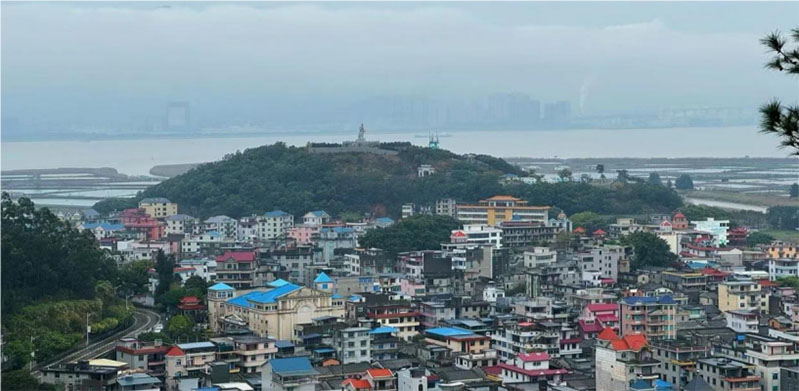 ��ӿ�S�l(xi��ng)���ഺ����������W(xu��)�����ڌ�(sh��)�`�L���l(xi��ng)�����d�®���