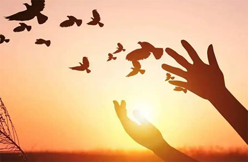 ���¡��ſա���ƽ�����ġ�����