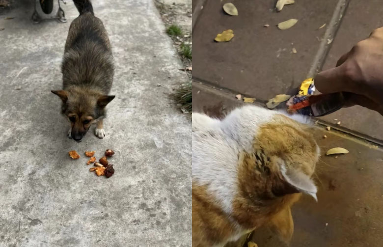 ��(sh��)�`���(d��ng)��(b��o)��