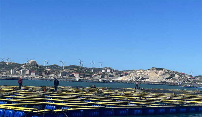 �����O�������O�� �ഺ����