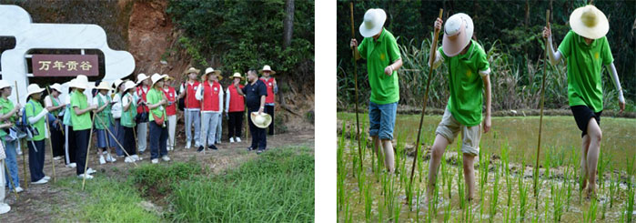 ���`�@��֪�������Ƽ�������W���t�Tͬ�ġ�������`��������g������ؕ���Ļ�����