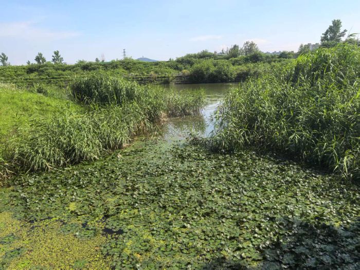 �����W�������l���`�����ի@�����o����ˮ�����������B�҈@