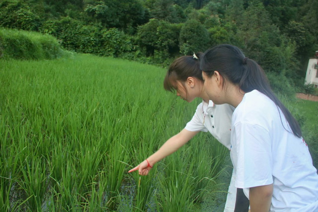 �A Ⱥ��֮���rý�w����������ܳ����l�����d�����ٶ�