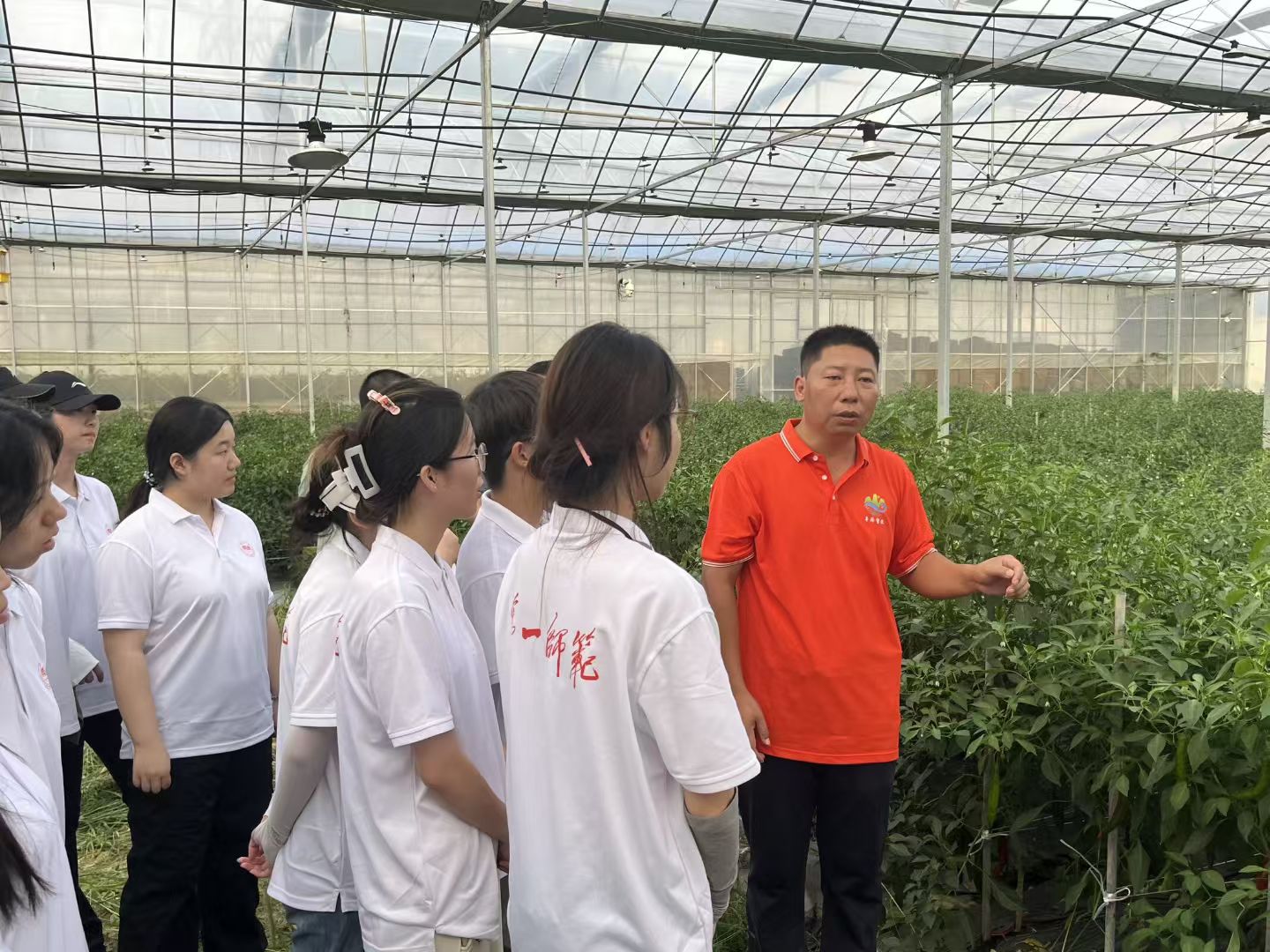 �ഺ����������Ƽ��x���l��