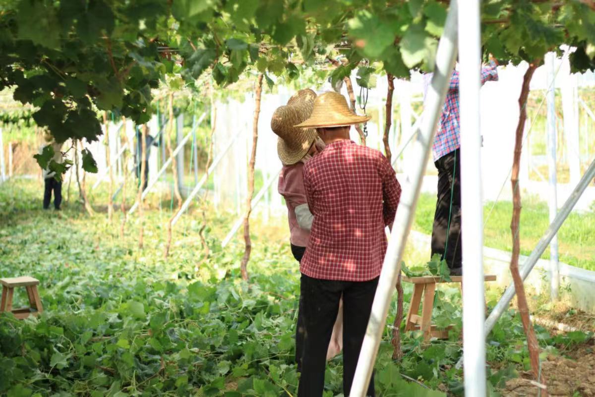 ���M����������^�������lչ