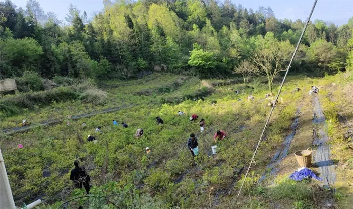 ���Ğ��ϰ��պõġ�ֶ�ӕ�ӛ��