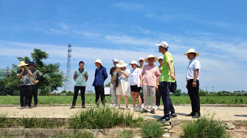 �a�I�d�����������r�����Ź�����