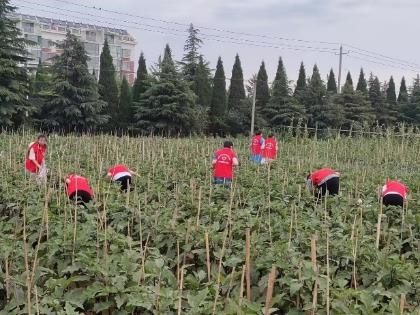 ����С�־Ը����ƪ���Nֲ����־Ը��ժ