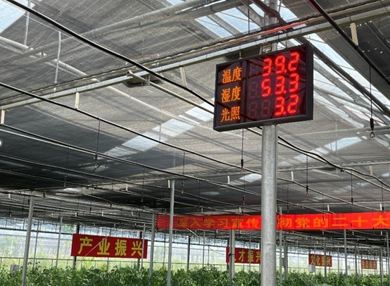 �������z����Сꠊ^�����M�ǻ��r�I̽�Lƽ���������