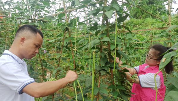 ���R�����������������l(xi��ng)