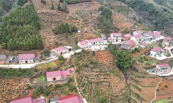 �ٸ��(zh��n)��ꖴ�����