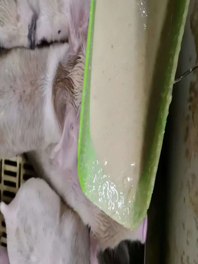 ��΢֪�� ��������