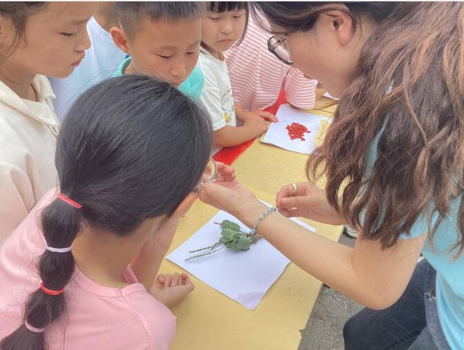 �������t���l������