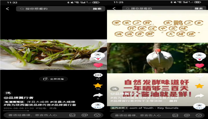 Ʒ������ ��������