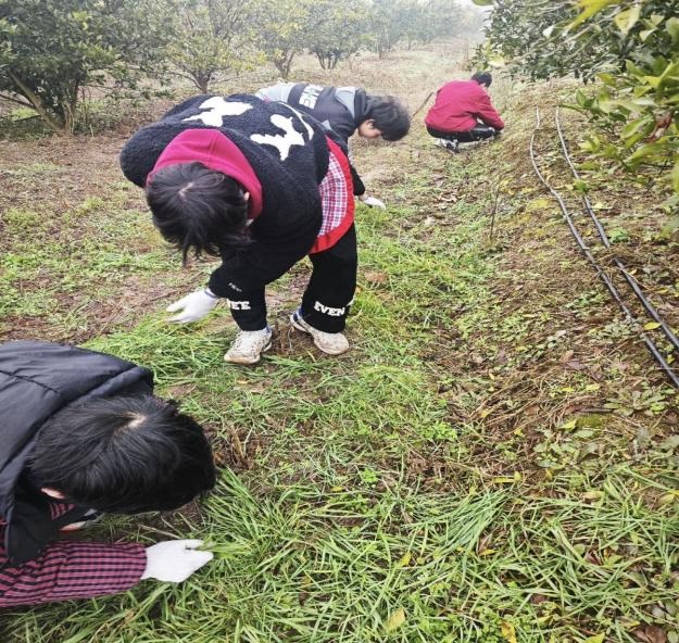 ��С���١��˄��l(xi��ng)�����d����a�I(y��)���������M���R�(zh��n)