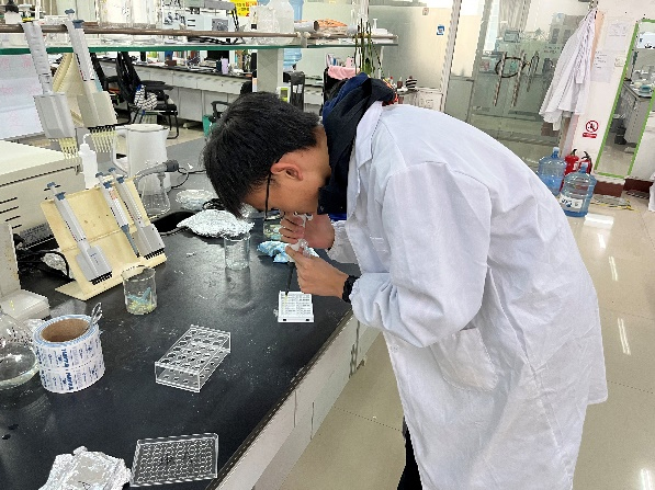 ��ϵ�Z�ȣ������������Zʳ�ˣ�