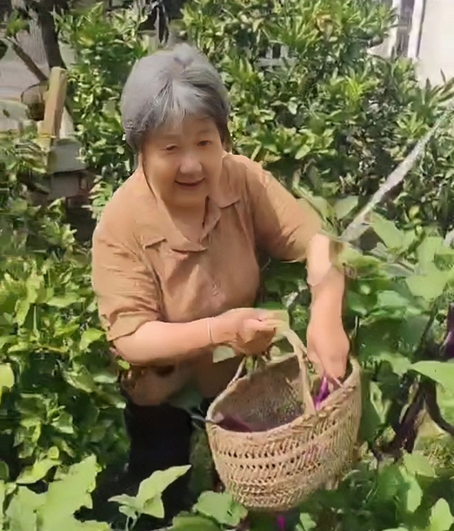 �Ƅ��l�����d�����������l��