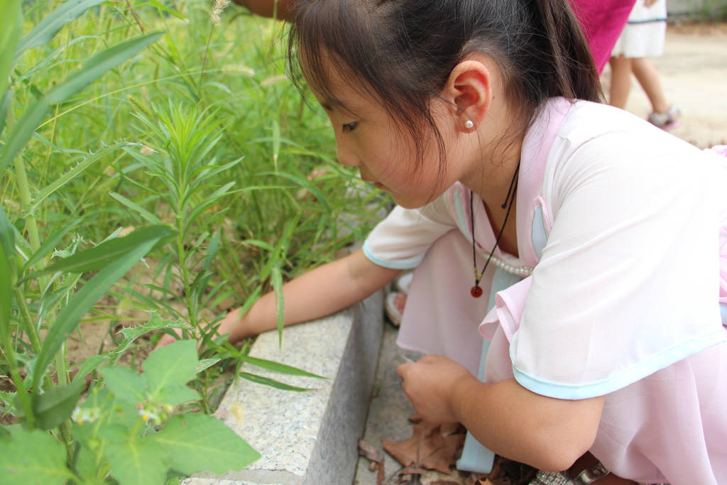 ��ꖻ������һ�IСꠡ����֮�ǡ�һ���Σ�