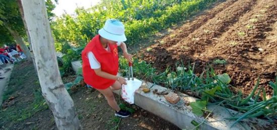 ����Т���ȣ��������P��