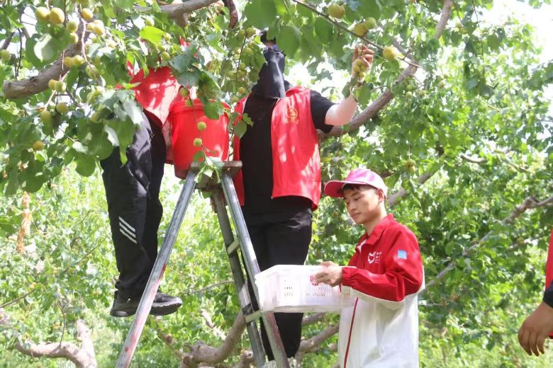 �� ����Ӌ��У�ѵĊ^������