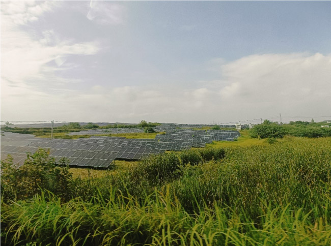 ֻ����G���Gɫ���B(t��i)뢮��h��(j��ng)��(j��)�ɳ��m(x��)�l(f��)չ�����B(t��i)�{(l��n)�D������Т���h�Gɫ�l(f��)չʾ���^(q��)����