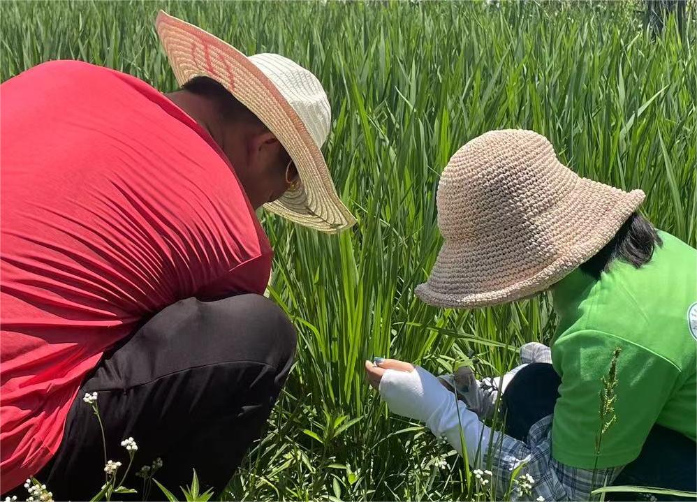 �w�(y��n)�F(xi��n)��(sh��)QQ�r(n��ng)��(ch��ng)�������Ї�(gu��)�l(xi��ng)�����d