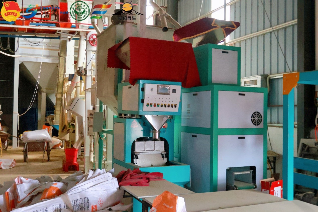 �����z����Ʒ�ƣ������l(xi��ng)�����d��ƪ��