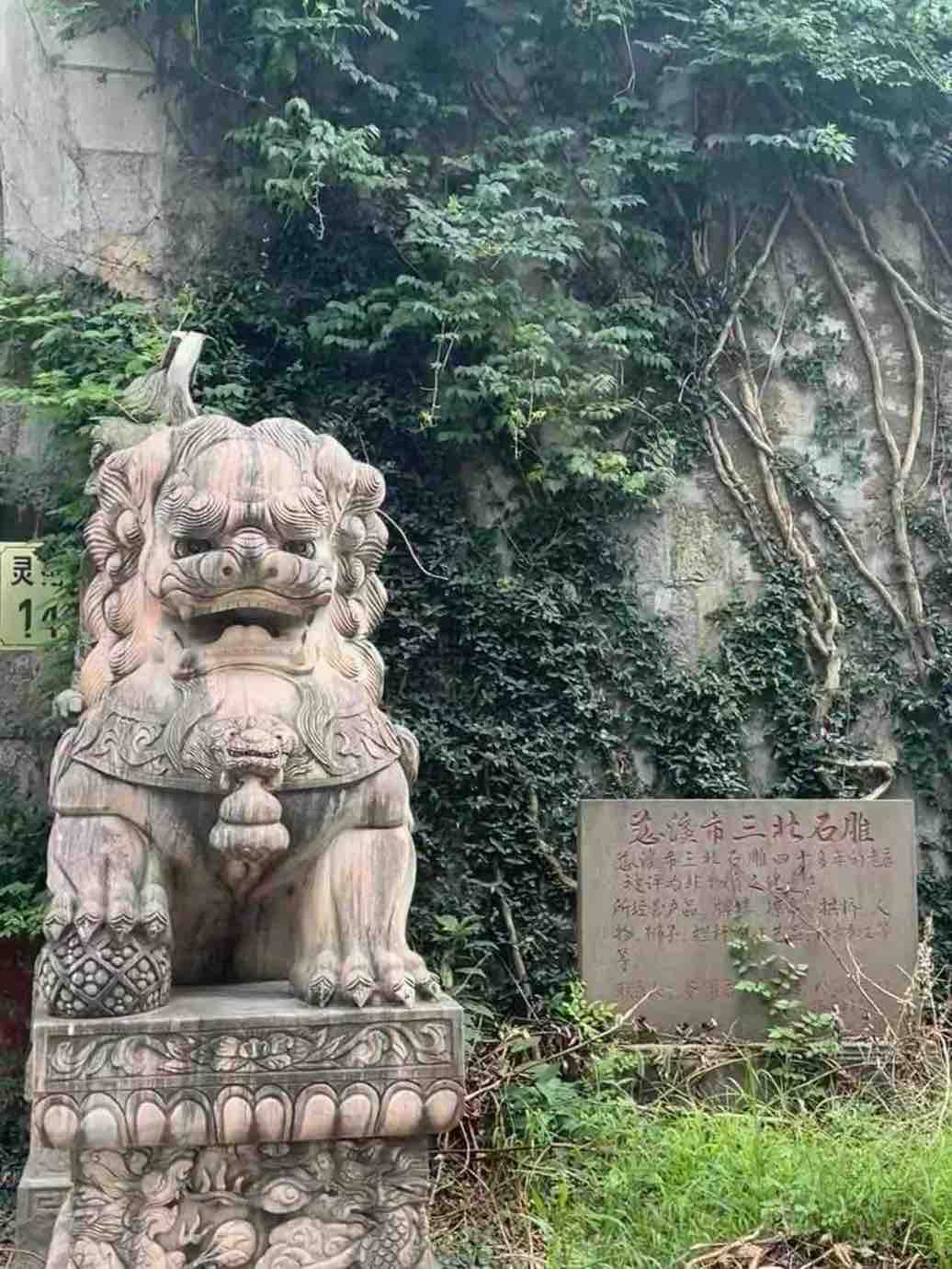 �L���y���䣬̽�Ļ����С��������Һ��^�匍�`�