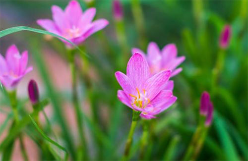 ׌���Լ��w