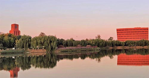 �ӹ���(zh��n)���ߡ��F��������ľ��